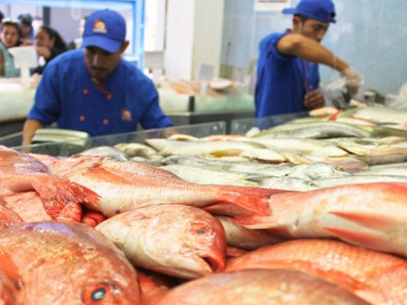 Se distribuirán 52 mil 560 toneladas de pescado en este período de Cuaresma