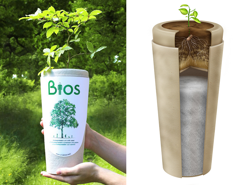 BIOS: Urna Biodegradable que puede convertir tus cenizas en un árbol